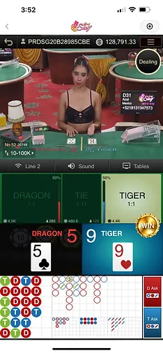 AE Sexy Dragon Tiger winbox77my.com