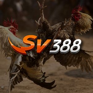 sv 388 game logo icon